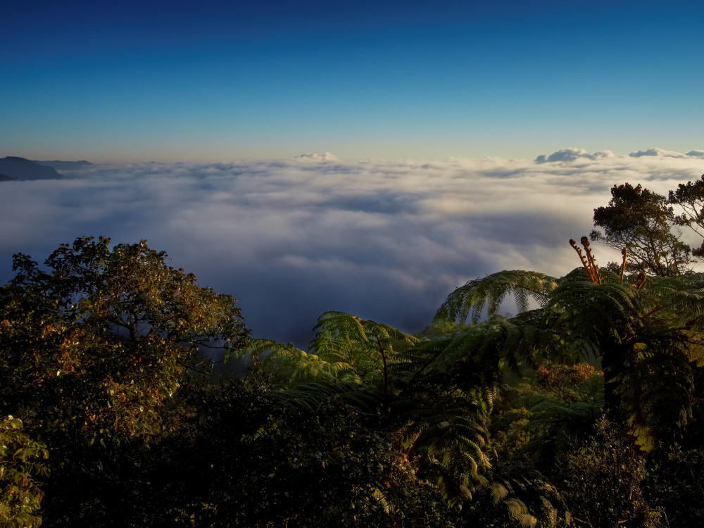 Uitzicht Horton Plains National Park Sri Lanka - Undiscovered.nl