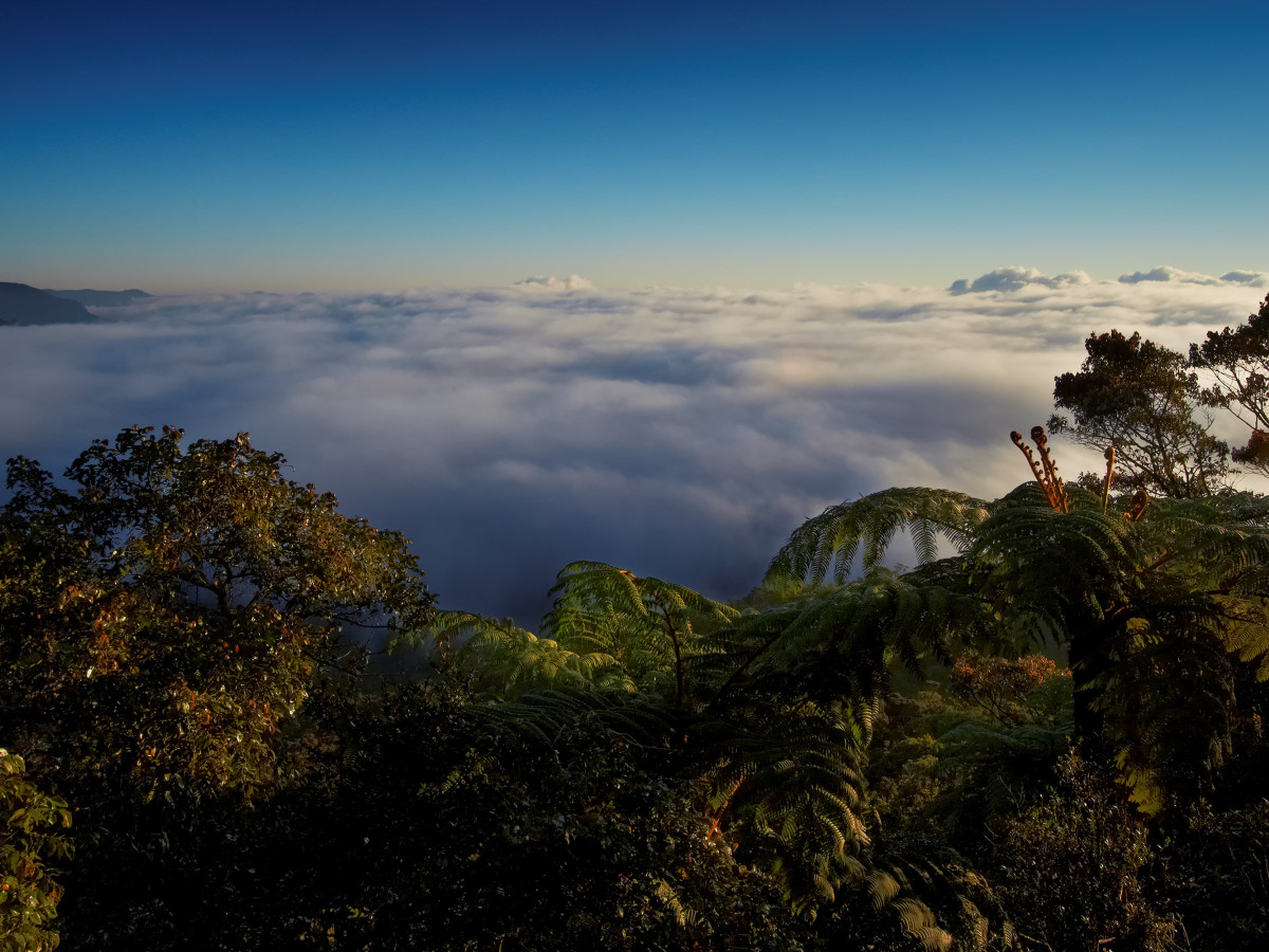 Uitzicht Horton Plains National Park, Sri Lanka - Undiscovered.nl
