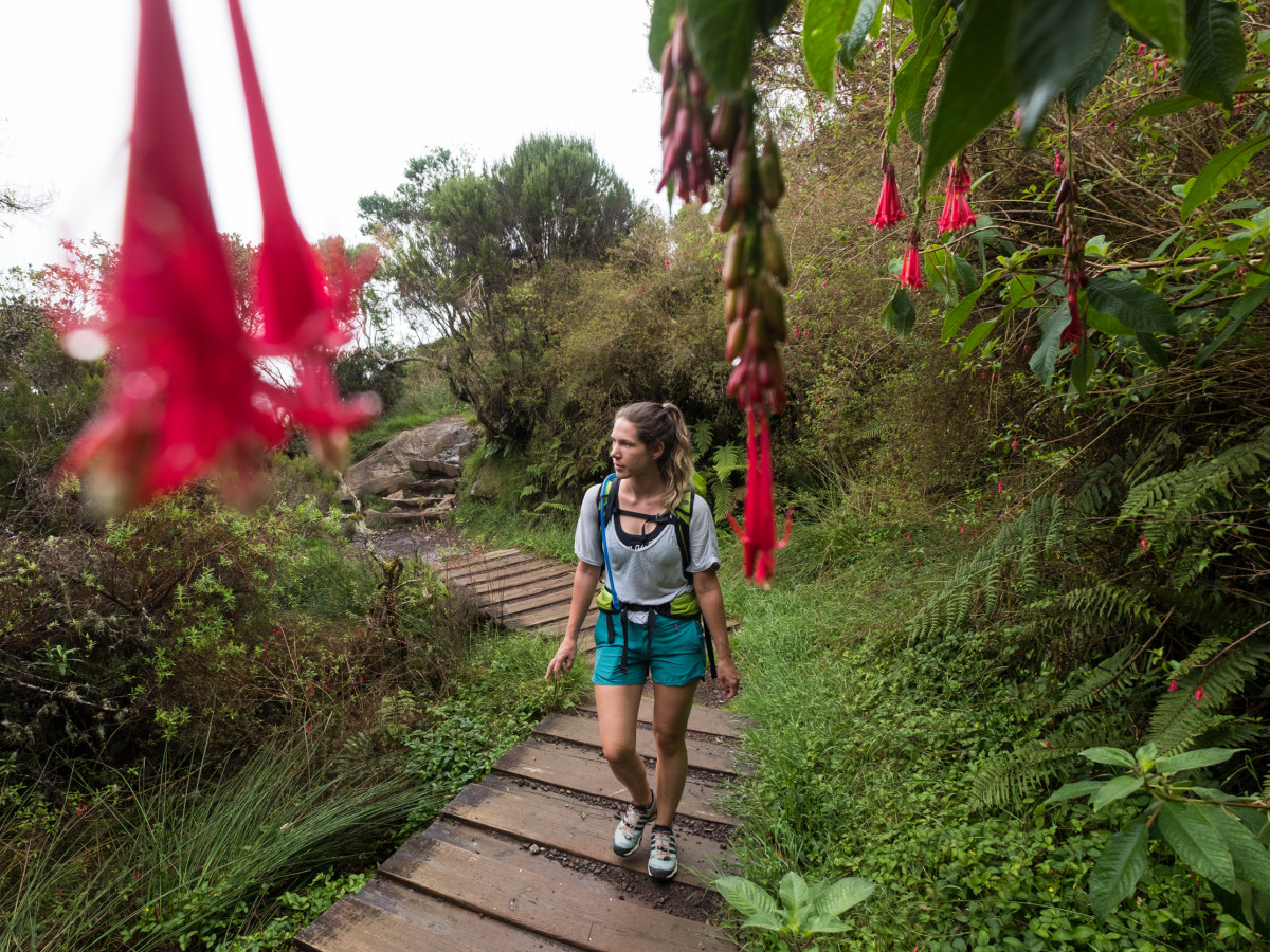 Hiken in Réunion - Undiscovered.nl