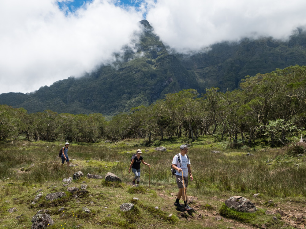 Hiken in Réunion - Undiscovered.nl