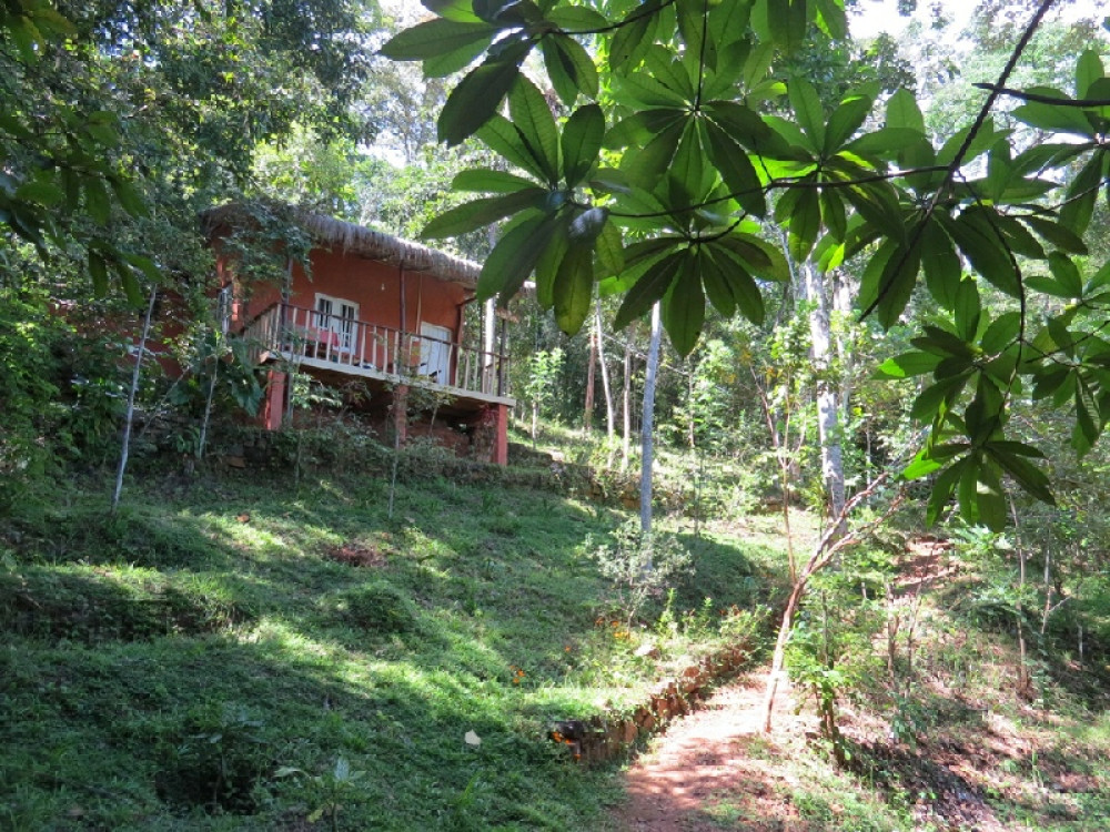 Polwaththa Eco Lodges, Sri Lanka - Undiscovered.nl