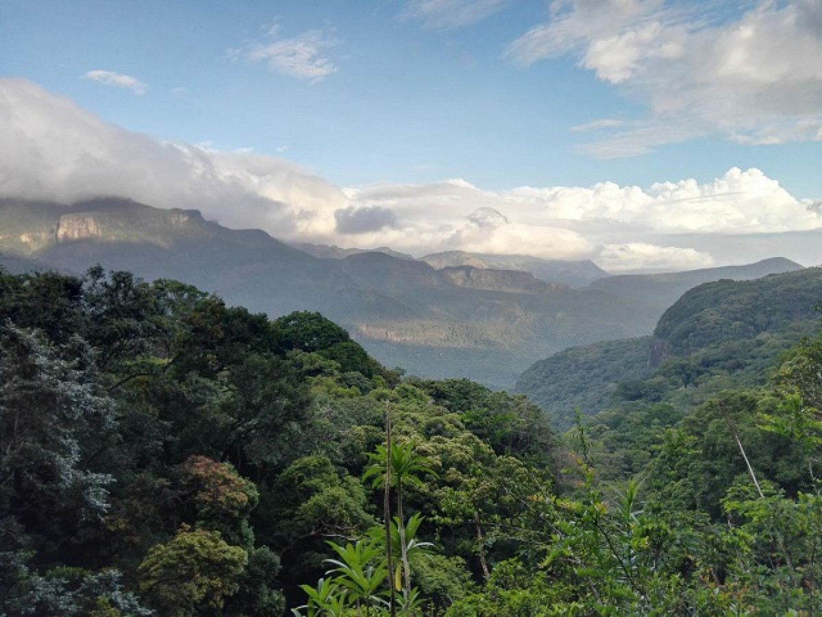 Knuckles, Sri Lanka - Undiscovered.nl