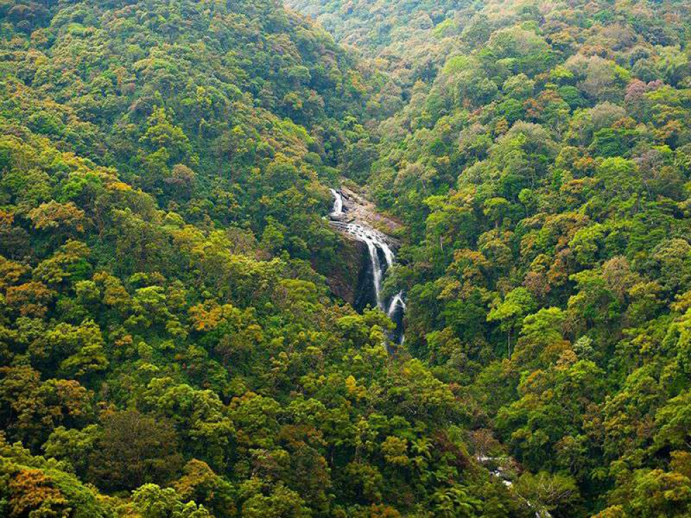 Waterval in Sri Lanka - Undiscovered.nl