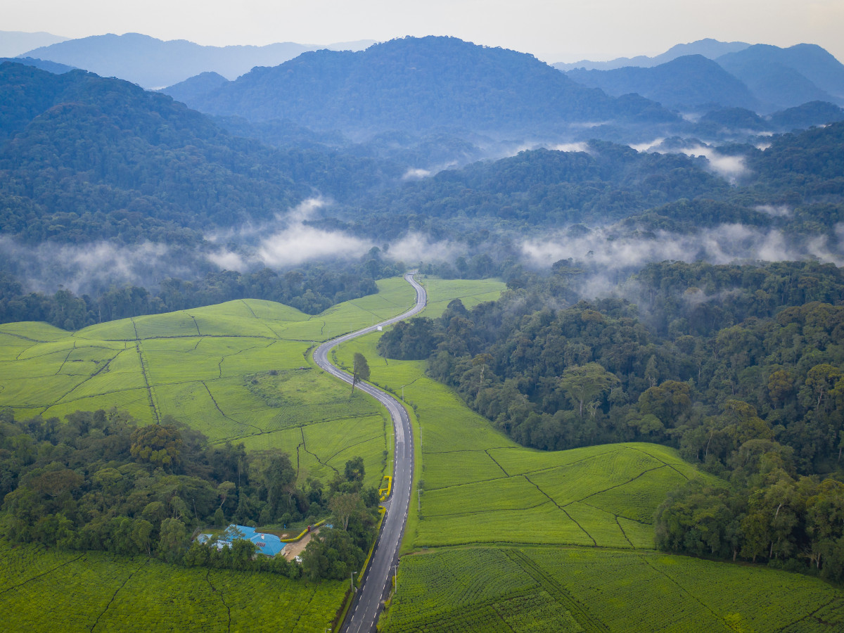 Nyungwe National Park, Rwanda - Undiscovered.nl
