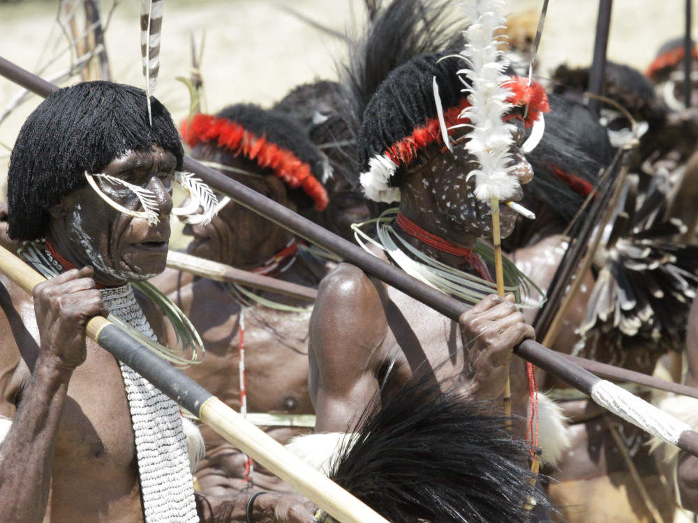 Stam in Papoea, Oost-Indonesië - Undiscovered.nl