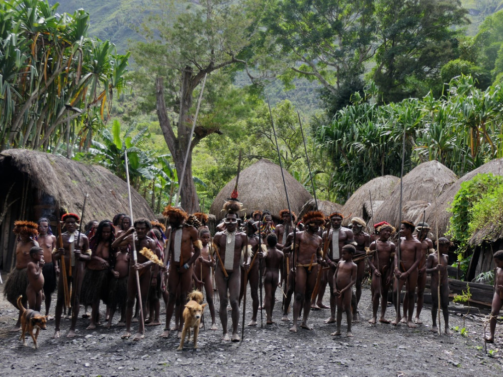 Stam in Papoea, Oost-Indonesië - Undiscovered.nl