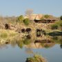 Wallow Lodge Victoria Falls Zimbabwe - Undiscovered.nl