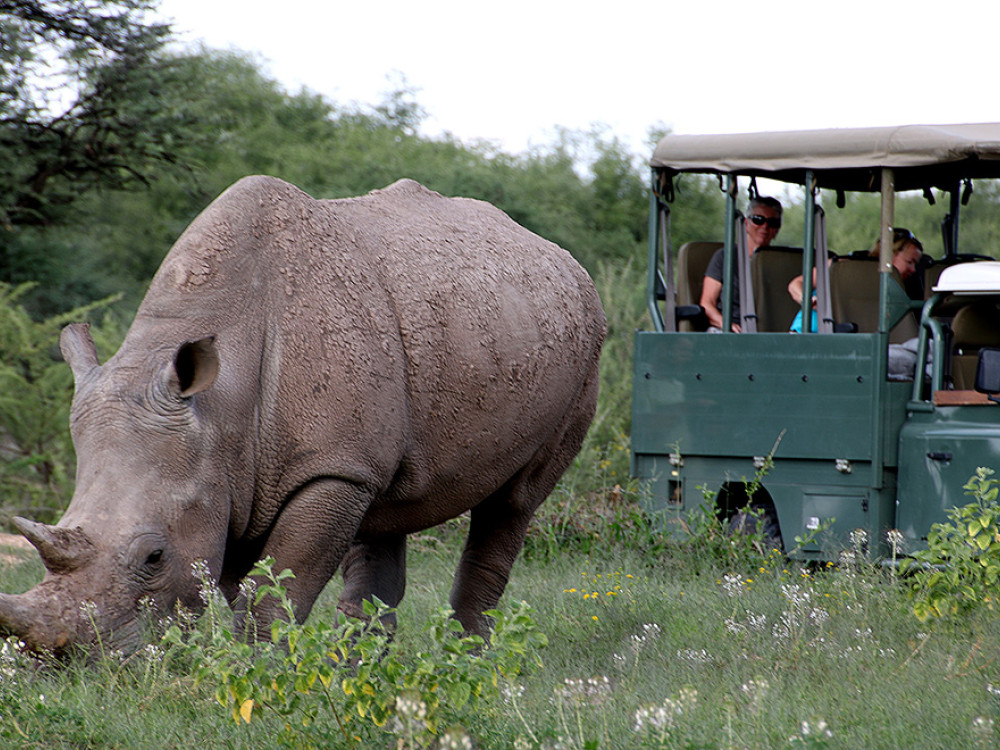 Jeepsafari in Waterberg National Park - Undiscovered.nl