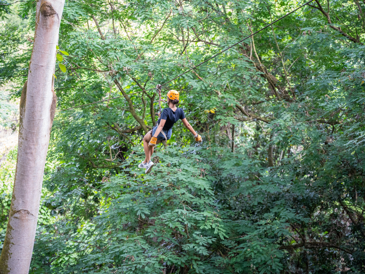 Ziplining Mahé Seychellen - Undiscovered.nl