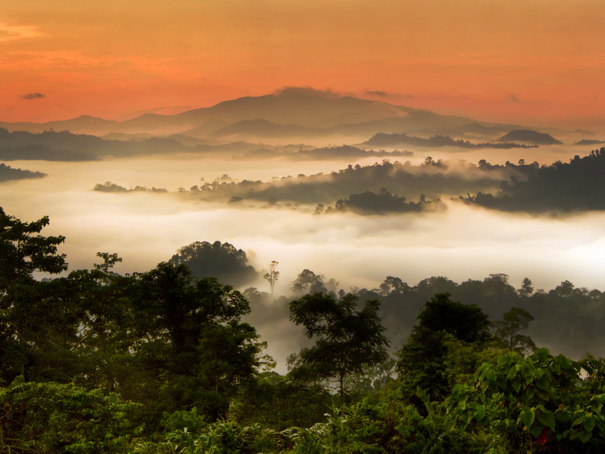 Zonsopgang Danum Valley, Borneo - Undiscovered.nl